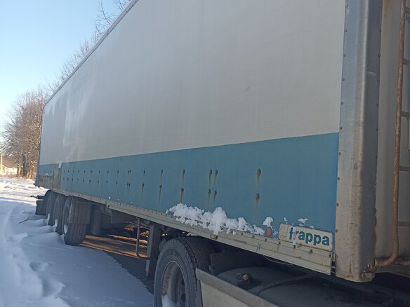 2003 DAF XF 95, белый, 1600000 рублей - вид 8