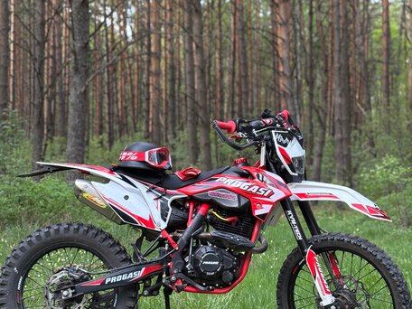 2024 Progasi Super Max 300, красный, 130000 рублей, вид 2