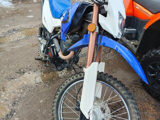 2021 Irbis TTR 250, синий, 140000 рублей, вид 5