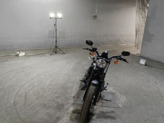 2017 Harley-Davidson Sportster 883, серый, 940000 рублей, вид 3