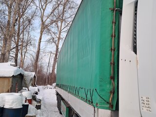 2007 Schmitz Cargobull S01, серый, 1150000 рублей, вид 2