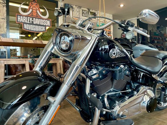 2025 Harley-Davidson Fat Boy, чёрный, 3300000 рублей - вид 6
