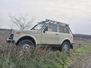 1984 Lada (ВАЗ) 2121 (4x4) I, бежевый, 320000 рублей, вид 4
