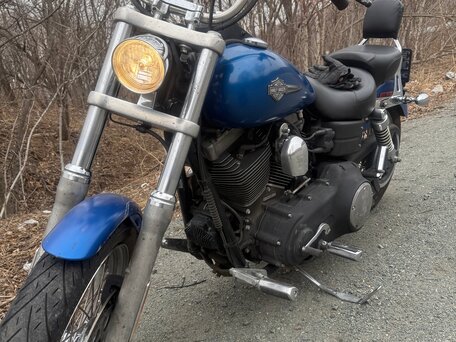 2007 Harley-Davidson Street Bob, синий, 680000 рублей, вид 1