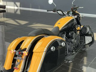 2026 Timpton Bagger, жёлтый, 990000 рублей, вид 4