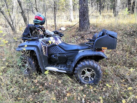 2014 CFMoto CF600-X6, чёрный, 600000 рублей, вид 5