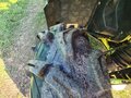 2015 Stels ATV-800 Guepard Trophy, белый, 615000 рублей - вид 11