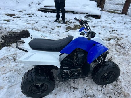 2012 Yamaha Raptor YFM90, синий, 110000 рублей, вид 5