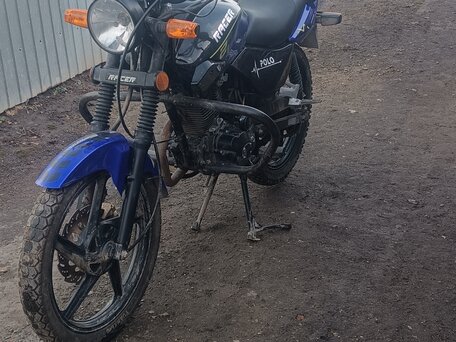 2020 Racer Tiger, синий, 75000 рублей, вид 5