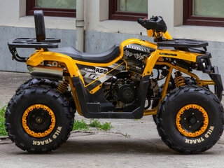 2024 Motoland Wild Track 200, жёлтый, 185250 рублей, вид 5