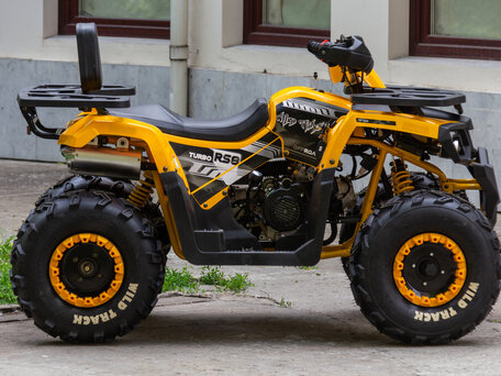 2024 Motoland Wild Track 200, жёлтый, 185250 рублей, вид 5