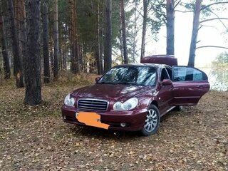 2007 Hyundai Sonata ТагАЗ IV (EF) Рестайлинг, красный, 490000 рублей, вид 5