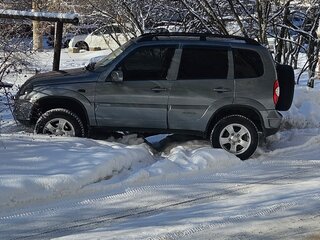 2010 Chevrolet Niva I Рестайлинг, серый, 545000 рублей, вид 5