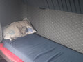 1998 Scania 4-Series, красный, 1205000 рублей - вид 5
