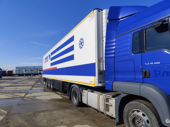 2018 Schmitz Cargobull SKO, белый, 5000000 рублей - вид 3