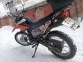 2020 Racer Panther, оранжевый, 105000 рублей - вид 2