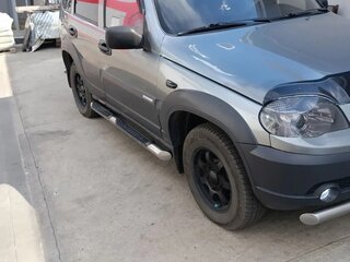 2009 Chevrolet Niva I Рестайлинг, серый, 460000 рублей, вид 1