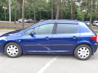 2006 Peugeot 307 I Рестайлинг, синий, 390000 рублей, вид 4
