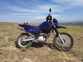 1998 Yamaha XT600, синий, 390000 рублей - вид 2
