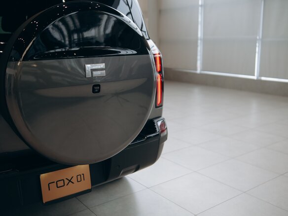 2025 Rox 01, серый - вид 10