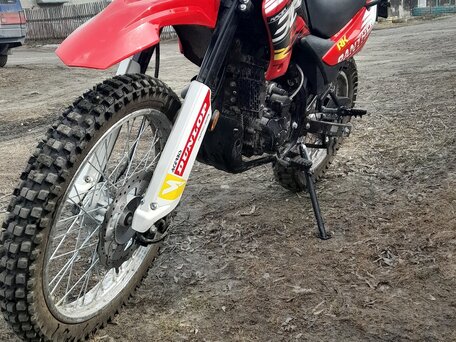 2024 Racer Panther, красный, 155000 рублей, вид 5