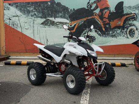 2026 Sym QuadRaider, белый, 367100 рублей, вид 1