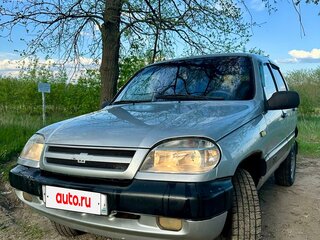 2004 Chevrolet Niva I, серебристый, 338000 рублей, вид 2