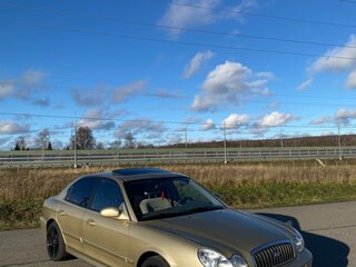 2003 Hyundai Sonata IV (EF) Рестайлинг, золотистый, 580000 рублей, вид 5