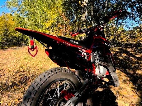 2024 Wels MX250R5, красный, 128000 рублей, вид 5