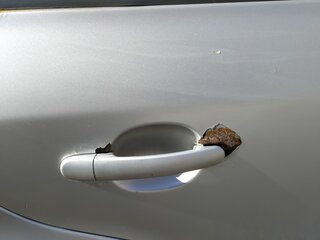 2006 Skoda Octavia I (A4) Рестайлинг, серый, 390000 рублей, вид 5
