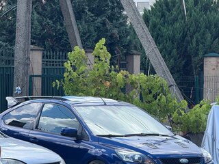 2006 Ford Focus ST II, синий, 1950000 рублей, вид 2