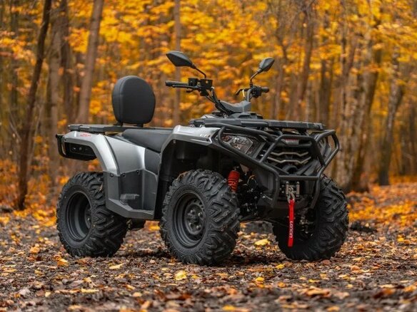 2026 Loncin XWolf 300 Max, серый, 485000 рублей - вид 13