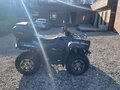 2013 Cectek GLADIATOR, серый, 450000 рублей - вид 4