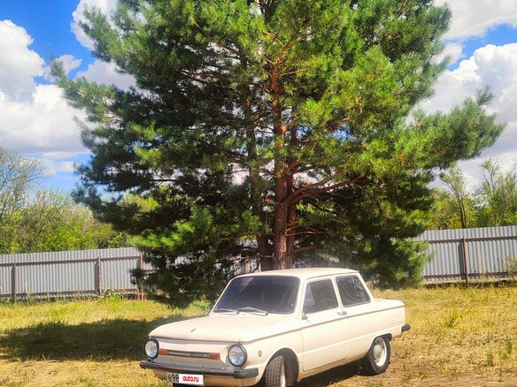1987 ЗАЗ 968 М, бежевый, 75000 рублей