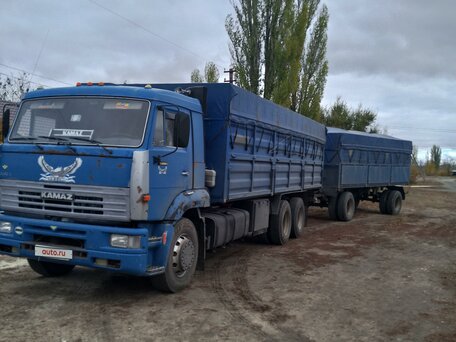2009 КамАЗ 65117, синий, 2000000 рублей, вид 5