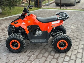 2023 Yacota Raposa, красный, 86000 рублей, вид 2