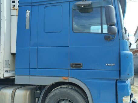 2004 DAF XF 95, синий, 2300000 рублей, вид 3
