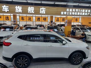 2025 Haval H6 III, белый, 2099900 рублей, вид 2
