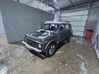 2005 Lada (ВАЗ) 2131 (4x4) Бронто-213102 I, серый, 165000 рублей, вид 3