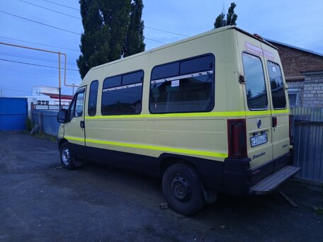 2010 Fiat Professional Ducato, жёлтый, 680000 рублей, вид 4