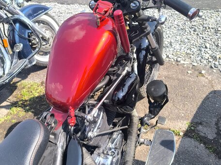 1991 Honda Steed 600, красный, 800000 рублей, вид 5