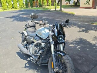 Benda Chinchilla 300