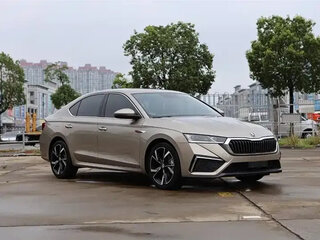 2022 Skoda Octavia IV (A8), коричневый, 2259099 рублей, вид 2