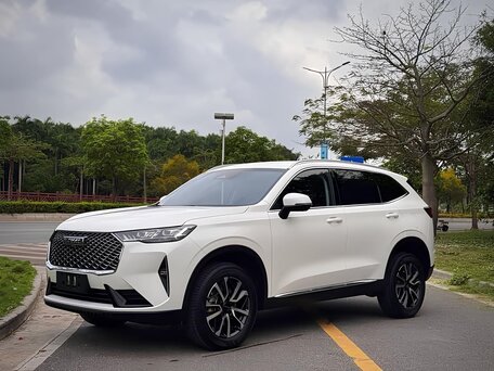 2025 Haval H6 III, белый, 1600000 рублей, вид 5