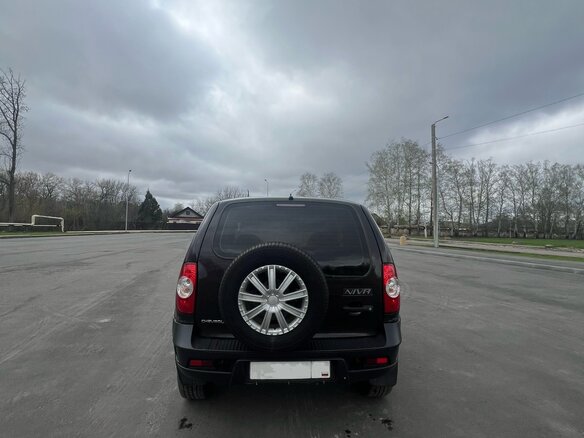 2013 Chevrolet Niva I Рестайлинг, коричневый, 550000 рублей - вид 5