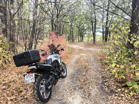 2009 BMW F 650 GS, серебристый, 549000 рублей, вид 2