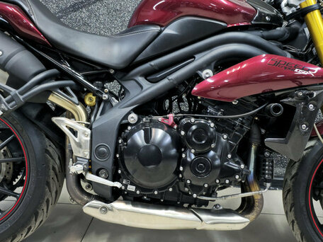 2014 Triumph Speed Triple, красный, 699000 рублей, вид 4