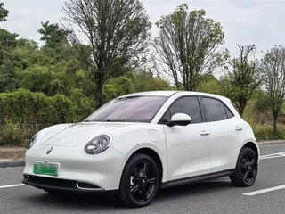2023 Ora Good Cat 46 kWh I, белый, 1200000 рублей, вид 1