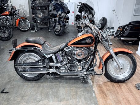 2008 Harley-Davidson Fat Boy, оранжевый, 1099000 рублей, вид 5