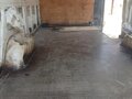2011 Volkswagen Crafter, белый, 1495000 рублей - вид 8